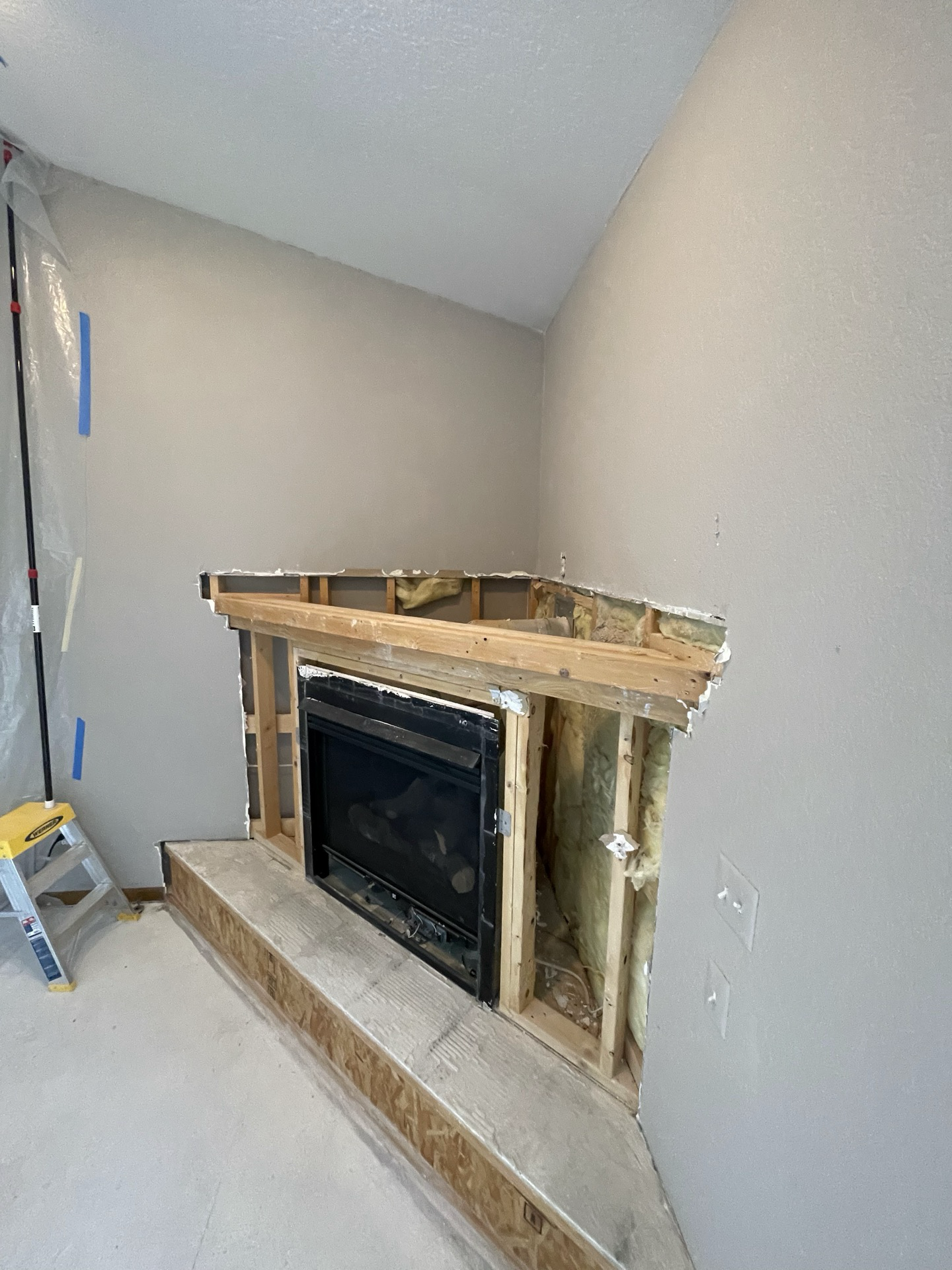 Fireplace Before